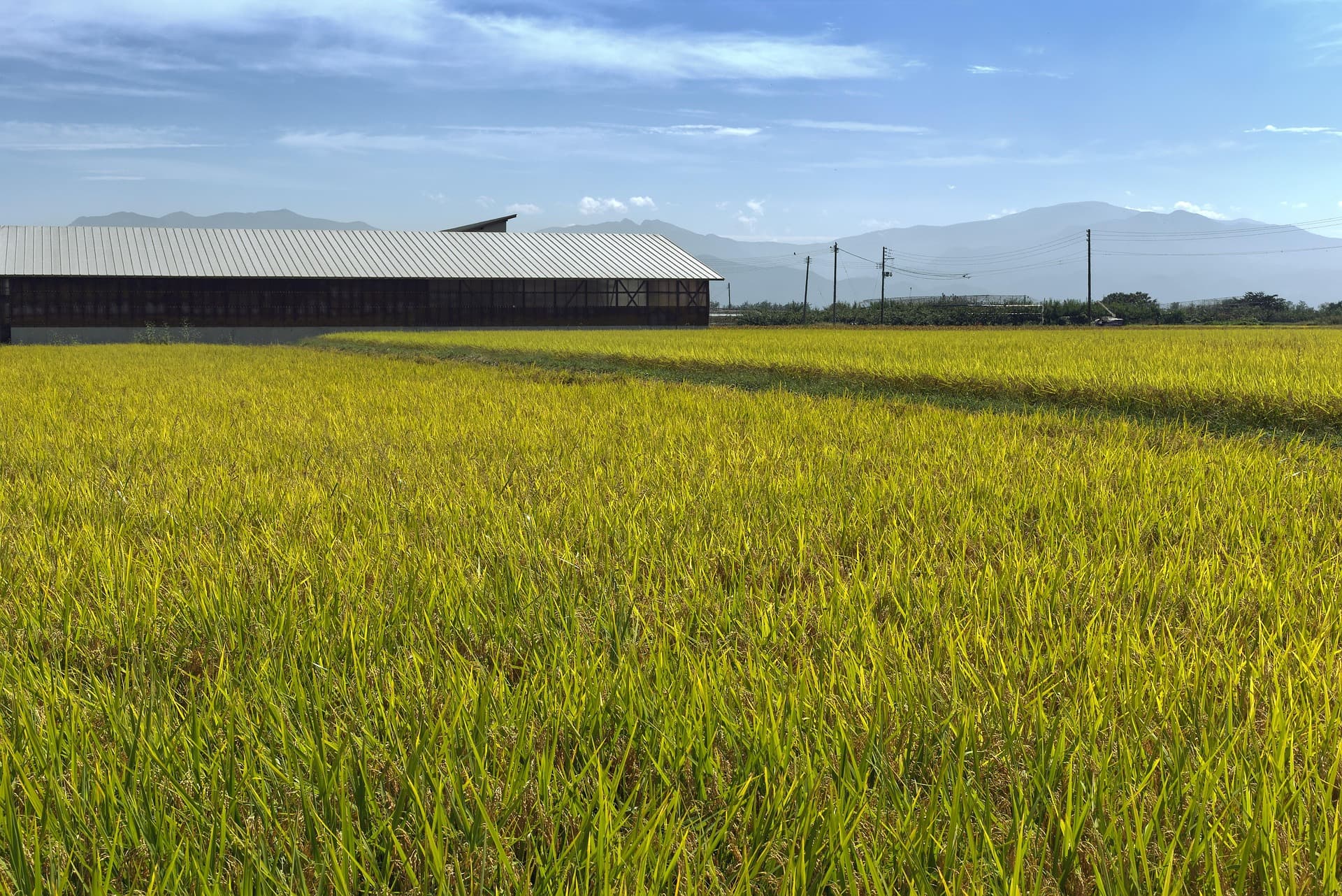 こばえちゃ山形全国競技かるた酒田大会のイメージ