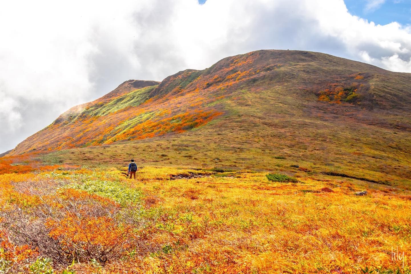 全国競技かるた水沢大会のイメージ