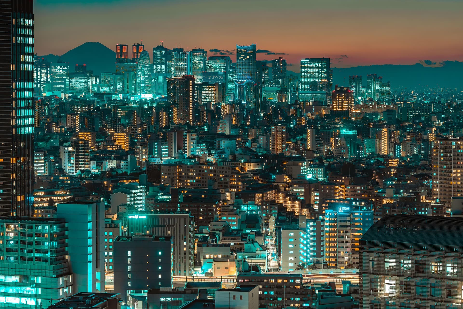 全国競技かるた東京吉野会大会のイメージ