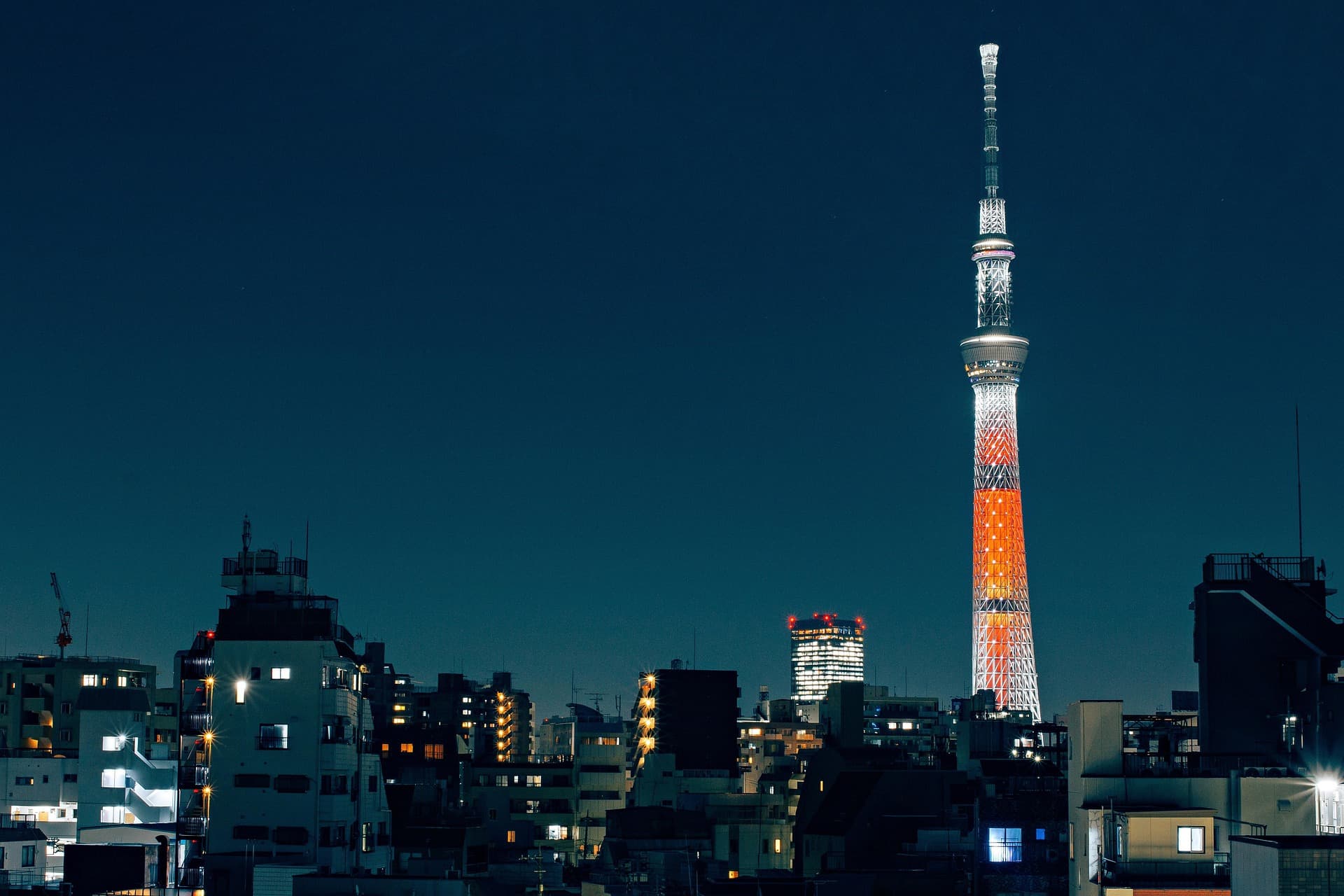 全国競技かるた東京東会大会のイメージ