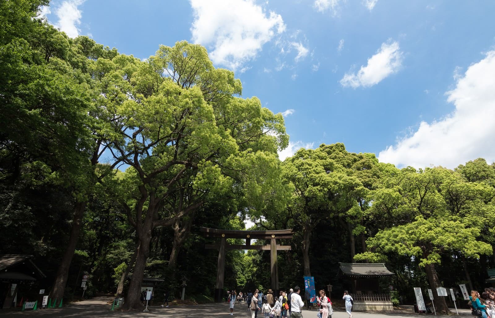 全国選抜大会のイメージ